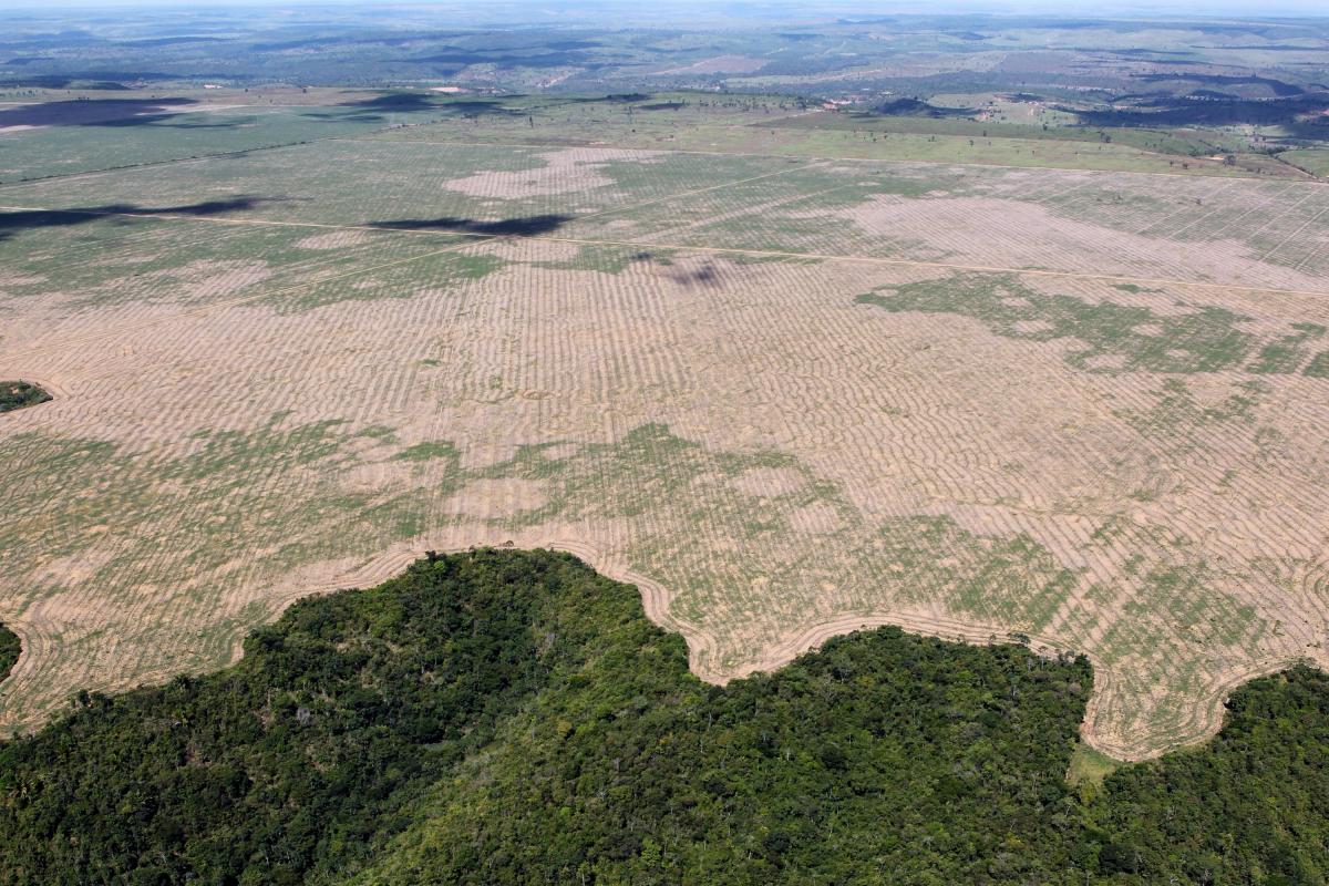 Photo of deforestation in Brazil